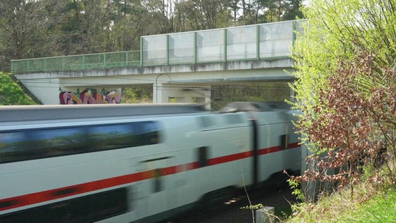 Ein Zug fährt unter einer Brücke durch. © Screenshot 