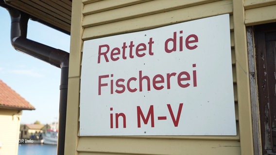 Ein Schild mit der Aufschrift: "Rettet die Fischerei in M-V". © Screenshot 