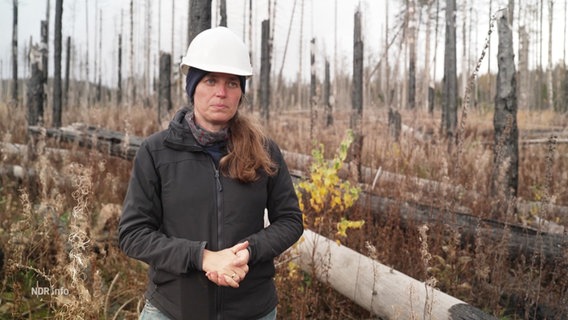 Elisabeth Dietze, Professorin für Geographie, steht vor einer verbrannten Waldfläche. © Screenshot 