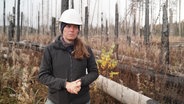 Elisabeth Dietze, Professorin für Geographie, steht vor einer verbrannten Waldfläche. © Screenshot 