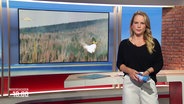 Tina Herms moderiert Niedersachsen um 18:00 Uhr. © Screenshot 