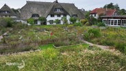 Blick auf ein Hotel mit Reetdach und großem Selbstversorger-Garten davor © Screenshot 