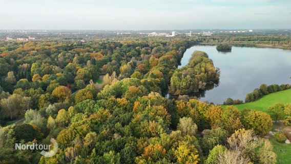 Blick aus der Vogelperspektive auf eine größere Parkanlage in einer Stadt mit See. © Screenshot 