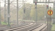 Blick auf leere Eisenbahngleise © Screenshot 