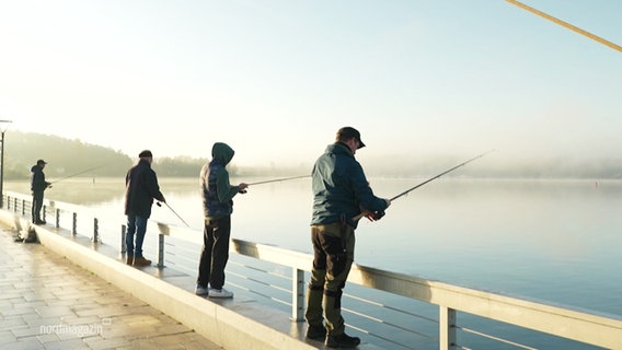 Angler angelm am Stadthafen Waren © Screenshot 