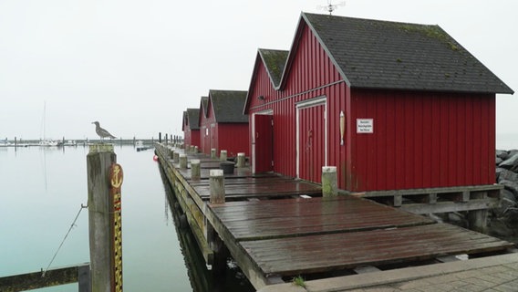 Fischerhütten auf dem maroden Steg im Boltenhagener Fischereihafen © NDR 