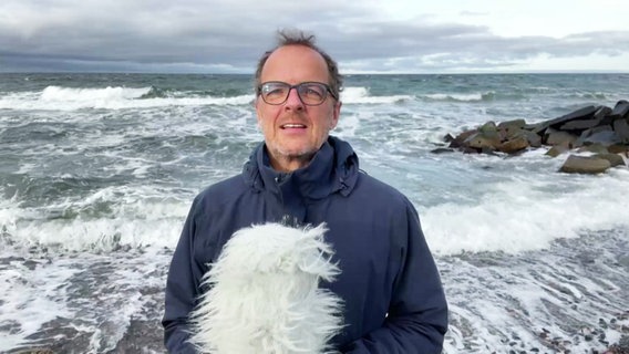 Die Wettervorhersage von Stefan Kreibohm aus dem NDR Wetterstudio auf Hiddensee. © Screenshot 