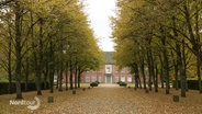 Am Ende einer langen Allee von Laubbäumen steht ein altertümliches Herrenhaus mit Klinker. © Screenshot 