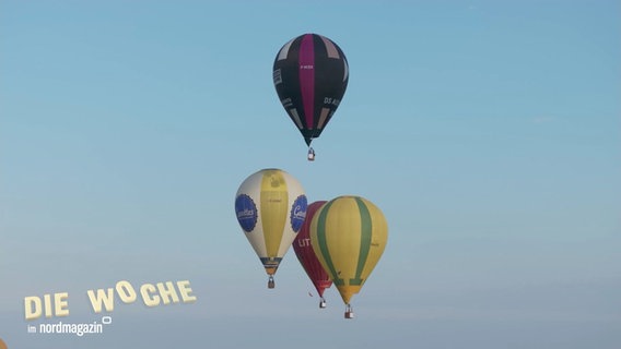 Mehrere bunte Heißluftballons vor blauem Himmel © Screenshot 