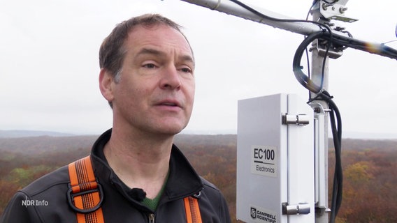 Projektleiter Alexander Knohl steht auf einer Plattform im Wald hoch über den Baumkronen. © Screenshot 