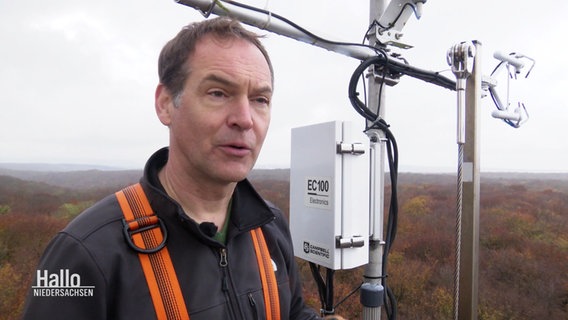 Forscher Alexander Knohl steht auf einer Mess-Plattform im Wald hoch über den Baumkronen. © Screenshot 