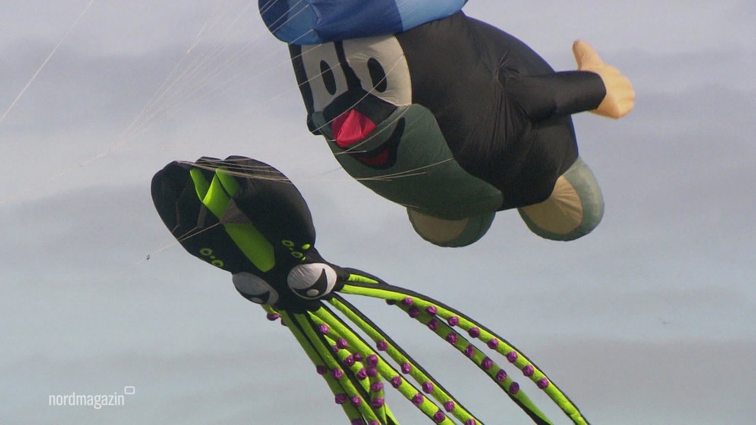 Drachenfest in Greifswald mit einem Profidrachenflieger