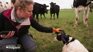 Hendrikje Rath streichelt ein Kalb. © Screenshot 