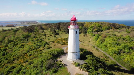 Der Leuchtturm in Dornbusch auf Hiddensee. © Screenshot 