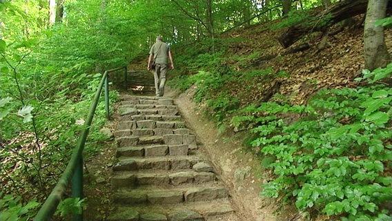 Treppe am Schmalen Luzin in Feldberg © Screenshot 