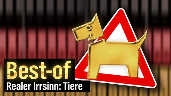 extra 3 Spezial: Best-of "Der reale Irrsinn" (Tiere) vom 17.11.2024 im NDR Fernsehen. © NDR 