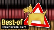 extra 3 Spezial: Best-of "Der reale Irrsinn" (Tiere) vom 17.11.2024 im NDR Fernsehen. © NDR 