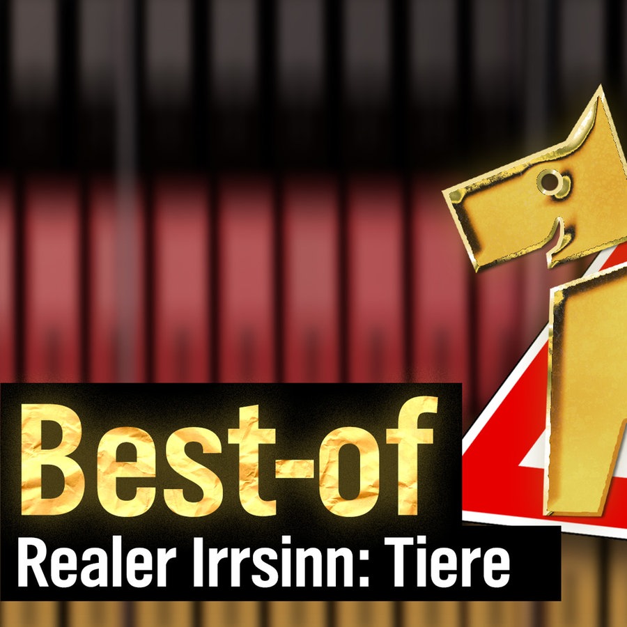 extra 3 Spezial: Best-of "Der reale Irrsinn" (Tiere) vom 17.11.2024