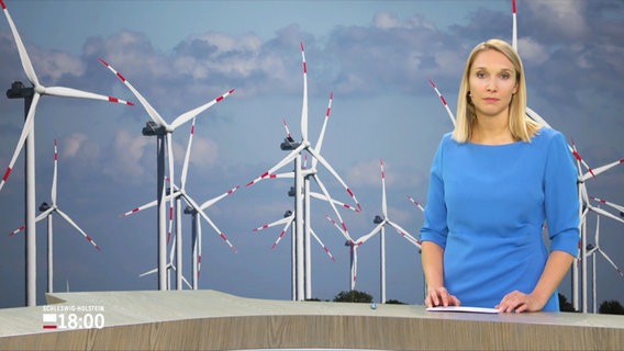 Alexandra Bauer modereriert das Schleswig-Holstein Magazin um 18 Uhr. © Screenshot 