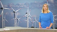 Alexandra Bauer modereriert das Schleswig-Holstein Magazin um 18 Uhr. © Screenshot 