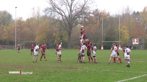 Rugby-Spieler beim Spiel. © Screenshot 