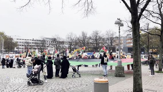 Eine pro-palästinensische Demo. © Screenshot 