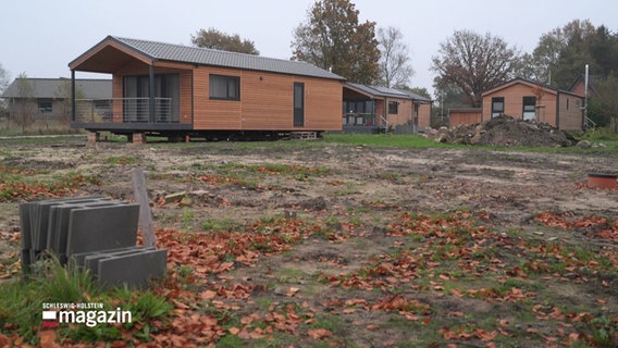 Einige Tinyhouses stehen auf einer Wiese. © Screenshot 