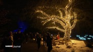 Ein beleuchteter Baum steht im Christmas Garden. © Screenshot 