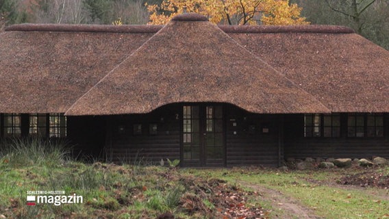 Ein Haus im Sachsenwald ist angeblich eine Steueroase. © Screenshot 