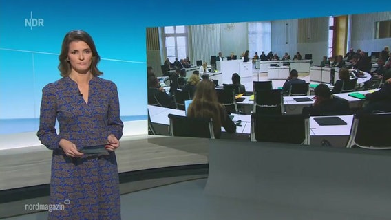 Moderatorin Frauke Rauner im Studio © Screenshot 