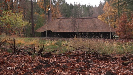 Auf einer Waldlichtung steht eine größere mit Reet gedeckte Holzhütte. © Screenshot 