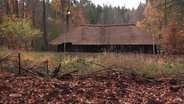 Auf einer Waldlichtung steht eine größere mit Reet gedeckte Holzhütte. © Screenshot 