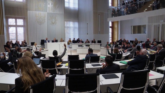 Blick in den Landtag Mecklenburg-Vorpommerns während einer Sitzung © Screenshot 