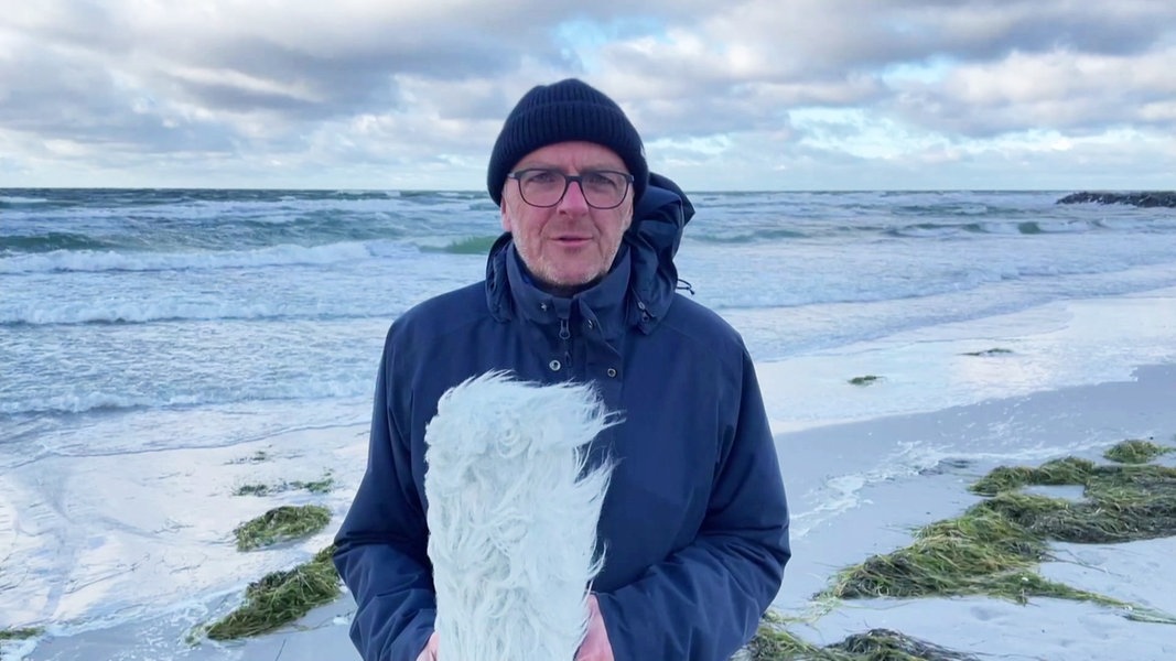 So wird das Wetter in Mecklenburg-Vorpommern am Montag