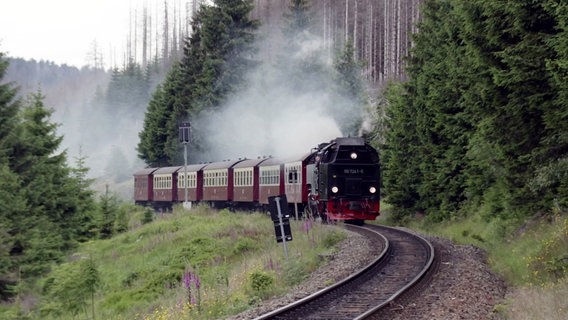 Brockenbahn © Screenshot 