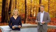 Marie-Luise Bram und Gerrit Derkowski moderieren das Schleswig-Holstein Magazin. © Screenshot 