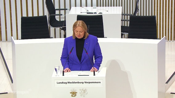 Bundestagspräsidentin Bärbel Bas spricht im Landtag von MV zum 30. Jubiläum der Landesverfassung. © Screenshot 