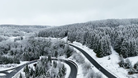 Verschneite Tannen und eine sich einen Hügel entlangwindende Straße im Harz. © Screenshot 