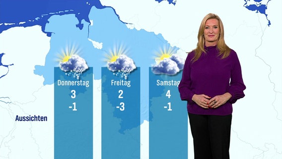 Eine Meteoroligin steht vor einer Wettergrafik. © Screenshot 