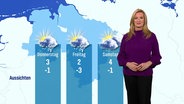 Eine Meteoroligin steht vor einer Wettergrafik. © Screenshot 