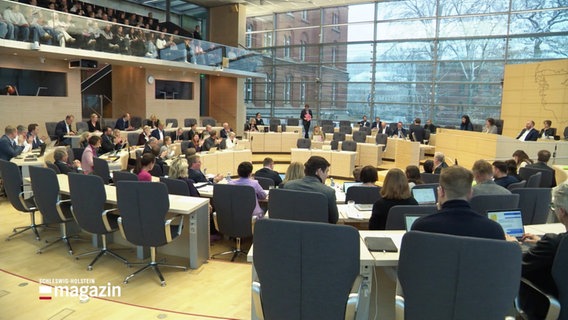 Viele Politiker und Politikerinnen sitzen im Landtag. © Screenshot 