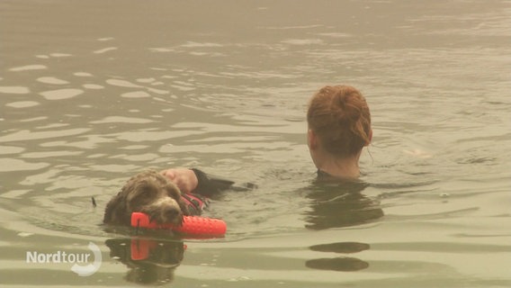 Ein Hund rettet sein Frauchen bei einem Workshop aus dem Wasser. © Screenshot 