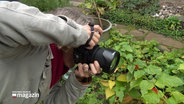 Eine Person fotografiert Gartenkunst in Lübeck. © Screenshot 