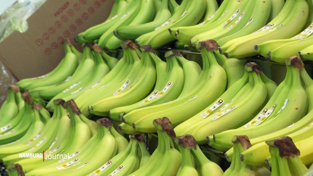 Grasbrook: Neues Fruchtkontor für 320 Millionen Bananen im Jahr