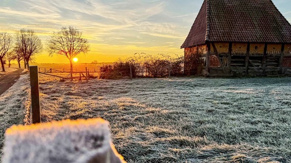 Panorama auf eine Allee, flaches Land, eine gefrorene Weide und ein Fachwerkhaus im Sonnenaufgang. Titel: Kaltstart von Tanja Scheer aus Nienburg © Screenshot Foto: Tanja Scheer