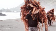 Ein Mann und eine Frau tragen riesige Algen auf ihrem Rücken und laufen am Strand. © Screenshot 