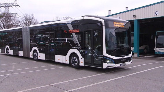 E-Busse Neubrandenburg © Screenshot 