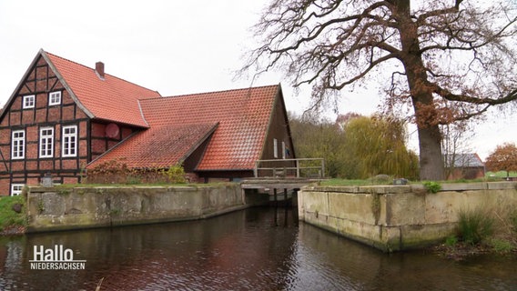 Ein Fachwerkhaus mit Wassermühle an einem Bach neben einer großen Eiche. © Screenshot 