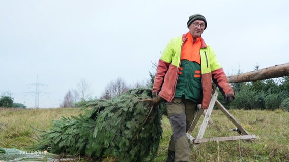 Ein Mann in Arbeitskleidung zieht einen gefällten Tannenbaum hinter sich her. © Screenshot 