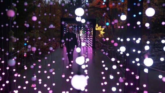 Lichtspiele im Loki Schmidt Garten. © Screenshot 